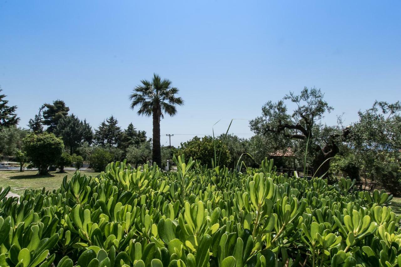 فيلا Katerina'S Garden Mola Kaliva المظهر الخارجي الصورة